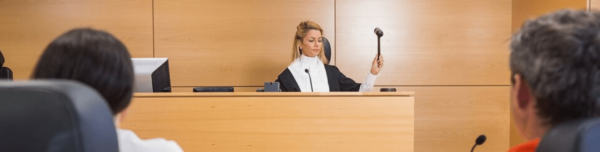 Expertises pour le